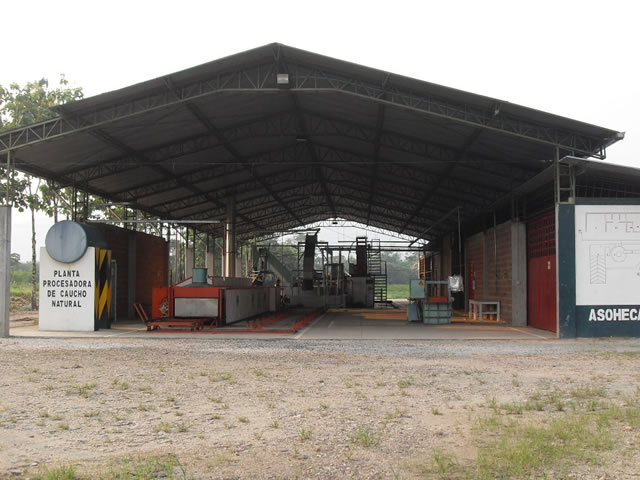 AlbÃºm Fotos de la planta 